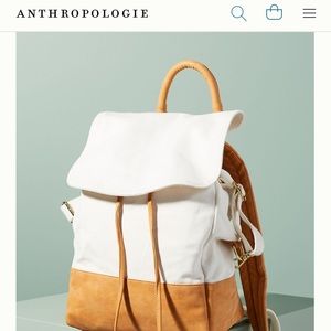 Pleasing Poppies Diaper Bag.